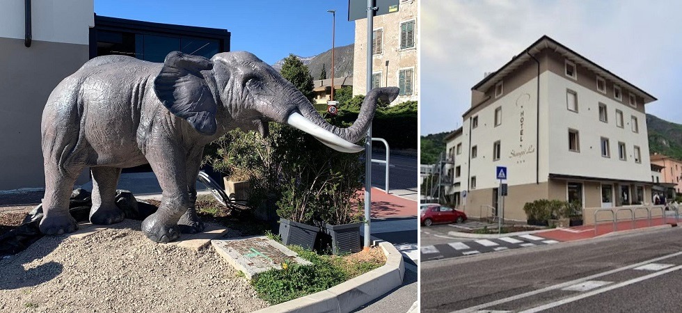"Un elefante in Trentino? Non c'entra nulla", la novità dell'albergo "Shangri-La" fa scattare la polemica